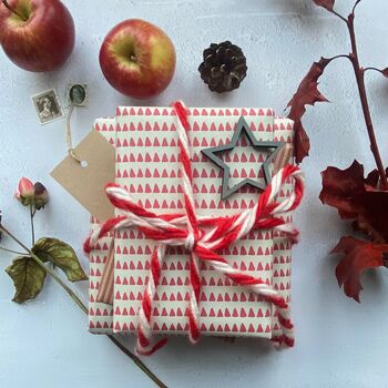 Red Stripe Paper Fibre Christmas Wrapping Paper Set, 2 of 12