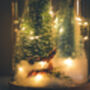 Christmas Terrarium Kit, Glass Dome With Fairy Lights, thumbnail 6 of 8