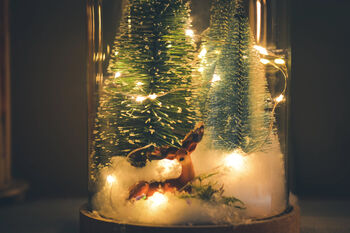 Christmas Terrarium Kit, Glass Dome With Fairy Lights, 6 of 8