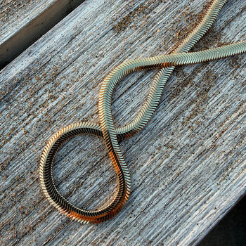 Chunky Gold Snake Chain Necklace, 4 of 12