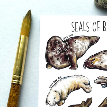 Seals Of Britain Watercolour Postcard, 5 of 9