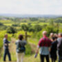 Wine And Cheese Experience Day In The Chedder Valley, thumbnail 8 of 9