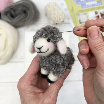 Needle Felting Kit Spring Lambs, 11 of 11