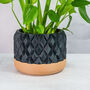 Carbon Gem Planter, thumbnail 1 of 4