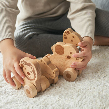 Set Of Four Push Along Wooden Toy Animals, 8 of 8