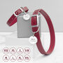 Personalised Classic Leather Dog Collar With Tag, thumbnail 2 of 12