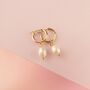 Thin Gold Hoop Earrings With Chunky Real Pearl Charms, thumbnail 3 of 4