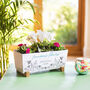Personalised Flower Planter, thumbnail 1 of 8