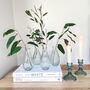 Set Of Four Clear Glass Vases Assorted, thumbnail 1 of 5