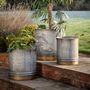 Set Of Three Galvanised Planters With A Gold Finish, thumbnail 1 of 3