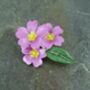 Pink Primrose February Birth Flower Brooch, thumbnail 4 of 5
