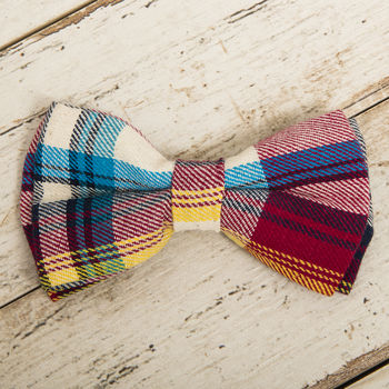 The Marple Red Checked Dog Collar Bow Tie, 4 of 5