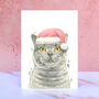 British Shorthair Cat Santa Hat Pom Pom Christmas Card, thumbnail 1 of 2
