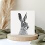 Countryside Hare Wildlife Greeting Card, thumbnail 1 of 6