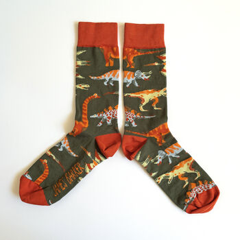 Dinosaur Socks, 4 of 5