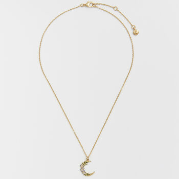 Gold Nightshade Moon Pendant Necklace, 5 of 8