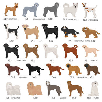 Peronalised Dog Breed Fridge Magnet, 6 of 12