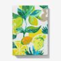 A5 Hardback Notebook Featuring A Spanish Citrus Garden, thumbnail 1 of 4