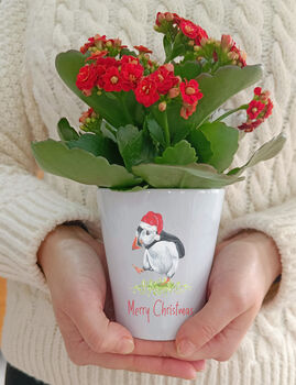 Christmas Puffin Plant Pot. Personalised Flowerpot, 2 of 5