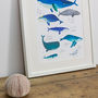 Wonderful Whales Of The World Illustration Print, thumbnail 2 of 3