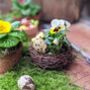 Easter And Spring Natural Tablescape In A Box, thumbnail 11 of 12
