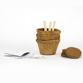 Grow Your Own Herb Garden, 3 of 5