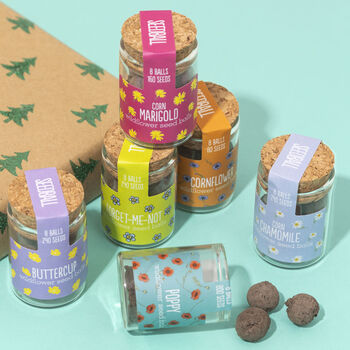 Wildflower Jars Set Of Six Native Flowers, 8 of 11