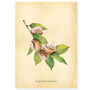 Botanical Cinnamon Roll Art Print, thumbnail 9 of 10