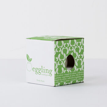 Grow Your Own Plant From An Egg, 4 of 4