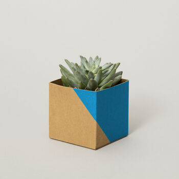 Geometric Plant Pot Cover Small, 2 of 7