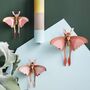 Set Of Three Comet Butterflies Slot Together Wall Decorations, thumbnail 1 of 6