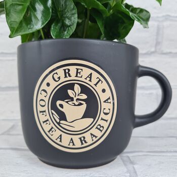 Giant Coffee Mug Planter Optional Coffee Plant Gift, 5 of 5