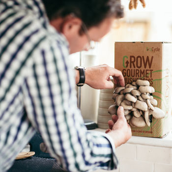Grow Your Own Mushrooms Kit, 5 of 6