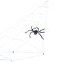 Halloween Giant Spider Web, thumbnail 2 of 2