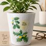 'Oak Tree' Personalised Plant Pot Gift For Teacher, thumbnail 1 of 3