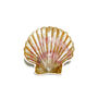 Scallop Shell Sticker, thumbnail 2 of 4