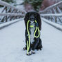 Neon Reflective Dog Collar And Rope Lead Set, thumbnail 1 of 8