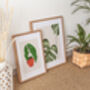 Begonia Houseplant Illustrated A4 Plant Art Print, thumbnail 8 of 12