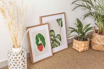 Begonia Houseplant Illustrated A4 Plant Art Print, 8 of 12