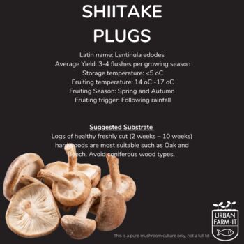 Shiitake Mushroom Plug Spawn. Buy Mushroom Dowels, 7 of 7