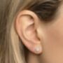 9ct Gold Solitaire Stud Earrings, thumbnail 6 of 6