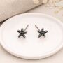 Sterling Silver Oxidised Starfish Stud Earrings – 5mm, thumbnail 1 of 7