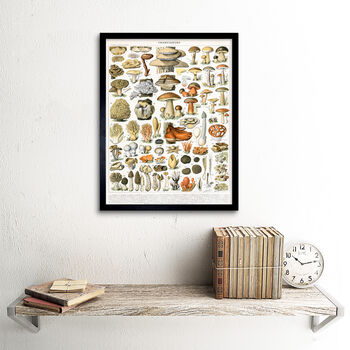 Millot Encyclopedia Page Mushrooms Variety Art Print, 2 of 3