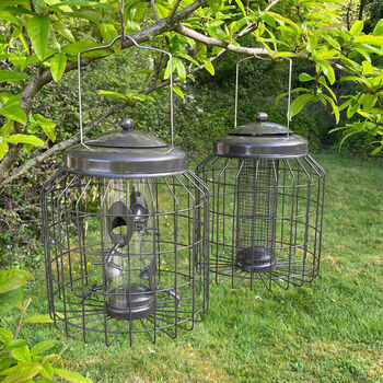 Squirrel Proof Hanging Bird Seed And Nut Feeders, 2 of 9