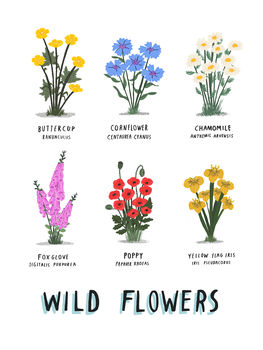 Personalised Wild Flowers Print, 2 of 6