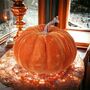 Velvet Pumpkins With Lights, thumbnail 5 of 6