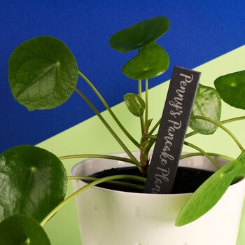 Personalised Slate Plant Marker, 2 of 2