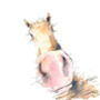 Horse Print, thumbnail 3 of 3