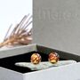 Fused Glass And Sterling Silver Stud Earrings, thumbnail 4 of 12