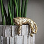 Gold Leopard Pot Hanger, thumbnail 4 of 7